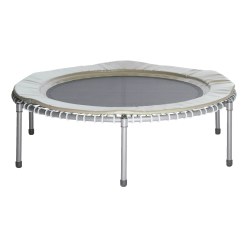 Sport-Thieme Therapietrampolin "Thera-Tramp" Champagner, 100-160 kg Körpergewicht