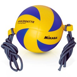 Mikasa Volleyball