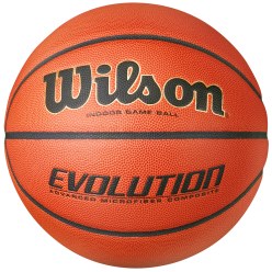 Wilson Basketball "Evolution"