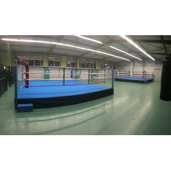 Sport-Thieme Boxring "Training"