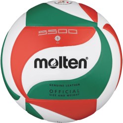 Molten® Volleyball "V5M5500"