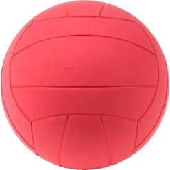 WV Blindefodbold
