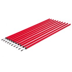 Set of Slalom Poles 