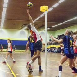 Korfballständer "Training"