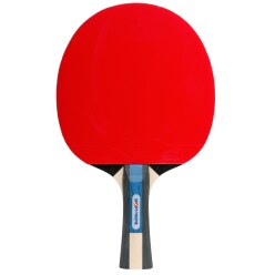 Sport-Thieme Table Tennis Bat "Champ"