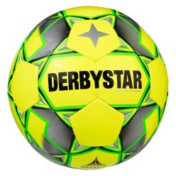 Derbystar Futsalball
 "Basic Pro"