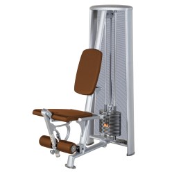  Sport-Thieme OV Leg Extension Machine