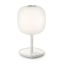 Primavera Aroma Diffuser "Emotion"