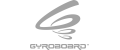 Gyroboard